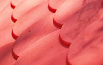 Dallow plastic roof costs