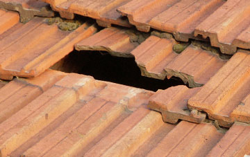 roof repair Dallow, North Yorkshire