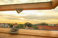 rated Dallow roof window companies